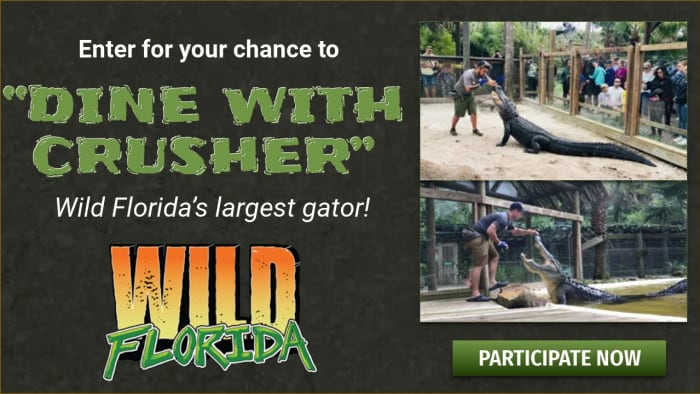 Dine with Crusher, Wild Florida’s largest gator!